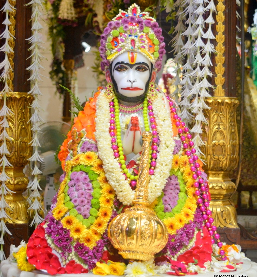 Donate on the Auspicious Occasion of Hanuman Jayanti | 6 April 2023 IS